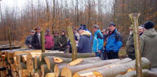 Am 11. Februar wieder Holzversteigerung in Lardenbach
